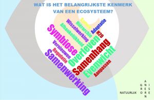 Workshop tijdens Event Corporate Culture