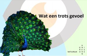 Iets om trots op te zijn