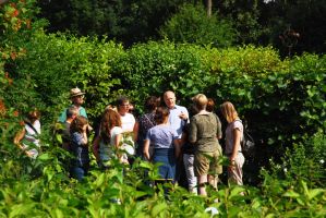 Inspiratiewandeling voor Sollicitatiemaatjes op stadsboerderij De Korenmaat