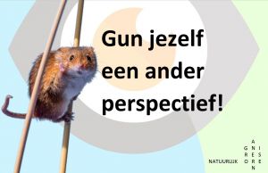 Masteclass Natuurlijk leiderschap 19-12-17 gaat definitief door!